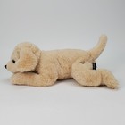 Fao Schwarz Golden Retriever Puppy Dog Plush Tan Stuffed Animal 12 Inch