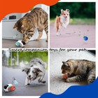 1pc Interactive Automatic Remote Control Cat Mice Car Toy And 1pc Smart Elect   