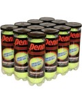  2 Pack  Penn Championship Extra Duty Tennis Balls  12 Cans  36 Balls 