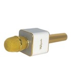 My Karaoke Pro Gold Wireless Bluetooth Karaoke Microphone Sing Like Pro At Home