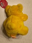 First   Main Plush Rainbow Bear Yellow 6 