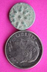 Widows Mite Coin Original Jerusalem Patina Holy Land Artifact Small Lepton T1001