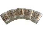 Vintage Federal Glass Caribbean Calypso Set Of 5 Frosted Shot Glasses Gold Leaf