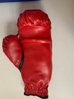 Sugar Ray Leonard Signed Full-size Everlast Boxing Glove