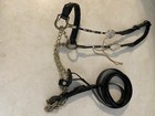 Fancy Mini Miniature Black Gold Silver Horse Show Halter   Lead arabian Style