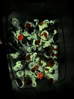 Huge Lot Of 56 Vintage 1980s Glo-friends - Glow-worm Playskool Figures And Bank