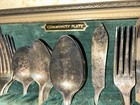 Vtg Oneida Community Silver Plate Flatware Silverware Coronation Set 33 Pieces