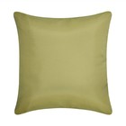 18  X 18  Fine Line Embroidered Floral Decorative Patio Throw Pillow Lime