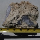 Rimrock  5 75 Lbs Burro Creek Purple Agate Rough