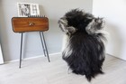 Genuine Rare Single Icelandic Sheepskin Rug   Natural Long Wool Rug   Sir70 Us