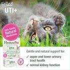 Homeopet Feline Uti  Urinary Tract Supplement For Cats  15 Milliliters