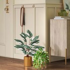 Luxe Maranta Leaf In Gold Pot - Threshold