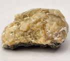 Ruck s Pit Calcite Clam Fossil - Mercenaria Permagna - Ft Drum  Florida 