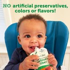Beech Nut Veggie Blend Baby Food Pouches Zucchini Spinach Banana 12 Count