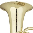 Eastman Ebf863 Professional 4-piston 4 4 F Tuba In Lacquer