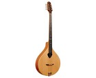 Gold Tone Bz-500 Irish Bouzouki - Open Box