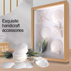 10 Pcs 4-5 Inch Natural White Large Scallop Shells Sea Shells For Diy Craft Home