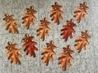 Lot Vintage Dennison eureka Fall Flowers   Leaves Die Cut Cutout Decorations