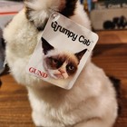New W  Tags Gund Grumpy Cat Plush  Siamese Kitty Stuffed Animal Silver Eyes