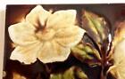 Antique C1890 Arts   Crafts Sherwin   Cotton Majolica Tile 15 3cm Floral Pattern