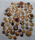 71 Vintage Vi Vegetable Ivory Carved Pattern Buttons