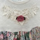 Vintage Jolene Floral Rose Daisy Lace Baby Toddler Girl Dress Size 3t Usa