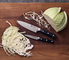 Zwilling Professional S 2-pc  Chef s Knife Set