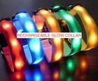 Rechargeable Led Light-up Glow Collar Dog Cat Pet Safety Belt Harness Micro Usb