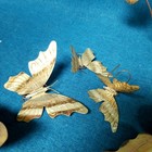 Vtg 70s 80s Tin Brass Tone Wall Decor Lot Butterflies Ivy Vines Hand Fans Read