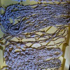 Lot Of 57 Nice 34 Inch Vintage Sea Shell Necklace  Hand Made In The Philippines