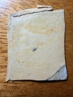 United States 1861 3 Cent Stamp - Cancelled