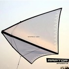 41  White Zero Wind Circling Delta Kite With Tail And Line For Beach Kite
