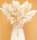 46  Inch 10 Stems Natural Pampas Grass Decor Tall  Pompas Grass  Tall Pampas 