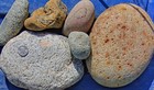 30 Lbs Lot  1 Extra Large Colorful River Rocks Pond Aquarium Landscape