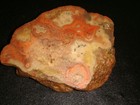 Ultra Rare Large Old Dulcote Agate Slab  3  3 4   Pounds  Mendip Hills England