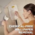 Spraytech 2439019 725 Wallpaper Steamer Steam Cleaner Easy Wallpaper Removal 2