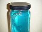 Real Shark In A Jar Preserved Marine Specimen Taxidermy Oddity   2 