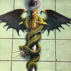 Motley Crue Dr  Feelgood  Reproduction Poster 