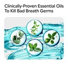 Listerine Cool Mint Mouthwash 3-pack  8 5 Fl Oz Oral Rinse For Fresh Breath