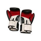 Boxing Title Classic Pro Style Gloves Small  black red white 