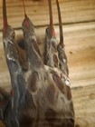 Freddy Revenge 2 Hero Custom Right Flesh Replica  Prop Bladed Glove