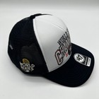 Houston Astros    47 Trucker Adjustable Hat 2017 World Series Champions Foam Cap