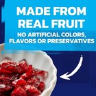 Ocean Spray Craisins Dried Cranberries Original 48 Ounce 3 Pound  pack Of 1 