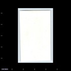 Vintage Photo Men And Women Standing Outside