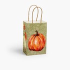 Painted Pumpkins Design Shopping Gift Paper Bag Choose Size   Pack Amount