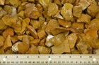 3 Lbs Yellow Jasper Rough Stones - Natural Crystal Mineral Rock Tumbling  mada 