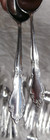 Vtg Rogers Oneida Stainless Korea Floral Pattern Silverware Set 44 Pieces