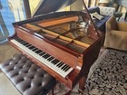 Steinway Grand Piano Model O