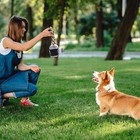 Dog Toys For Chewing Squeaky Dog Toy Cute Camera Shape Plushie Pet Well Made