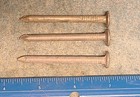 3 Steel Late Date 2015-2017 Round Date Nails